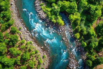 Turquoise river winding through lush green forest