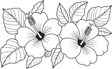Hand-drawn Hibiscus Flowers with Leaves, Elegant Black and White Nature Illustration