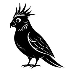 Obraz premium Black silhouette of a cockatiel bird isolated on white background