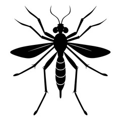 Obraz premium Black silhouette of a mosquito isolated on white background