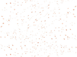 紙吹雪、m8桃金、10波