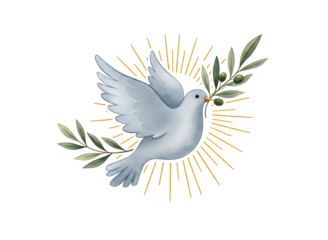 White dove with olive branch and sunburst isolated on transparent background