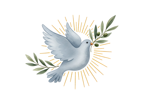 White dove with olive branch and sunburst isolated on transparent background