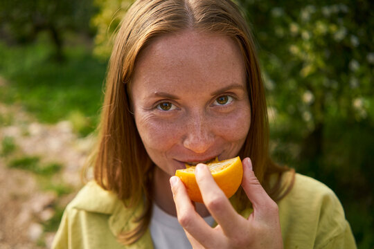 Smiling woman eating juicy orange in orchard
