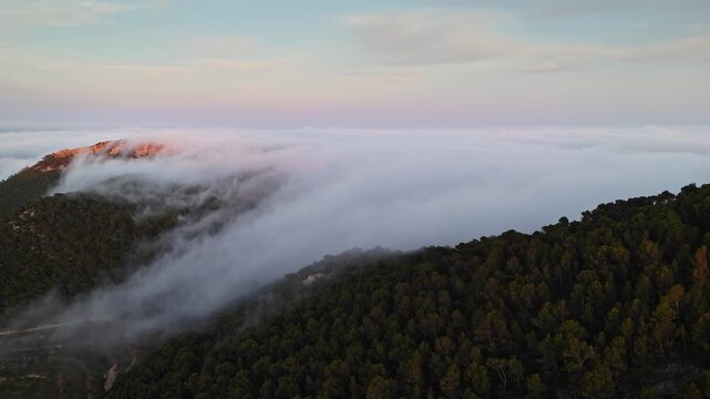 Aerial drone video of a forested mountain peak in Spain, bathed in warm sunlight, emerging above dense clouds at sunrise.