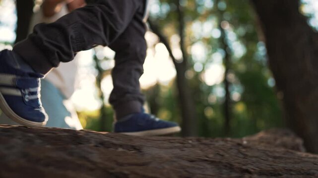 Child balancing on log with parent, child in sneaker on tree trunk during forest walk parent supporting outdoor play and nature exploration balance skill and family activity sunlight through leaves