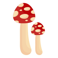 Mushroom Illustration