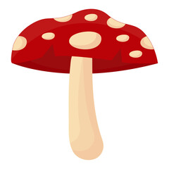 Mushroom Illustration