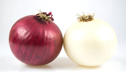 Close-up of red and white onions on white background