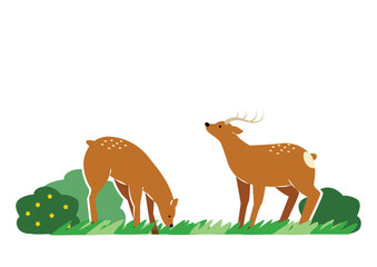 草を食べる二頭の蝦夷鹿のイラスト