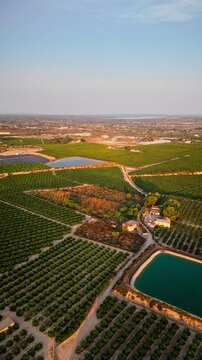 Drone video shows lush green agricultural fields with neatly arranged crops, irrigation ponds, and farm buildings under golden hour sunlight in rural Spain.