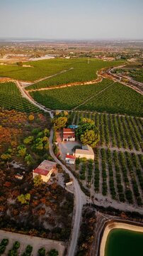 Drone video shows lush green agricultural fields with neatly arranged crops, irrigation ponds, and farm buildings under golden hour sunlight in rural Spain.