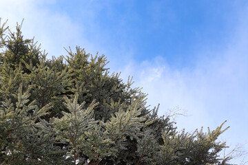 Sky-focused landscape photography