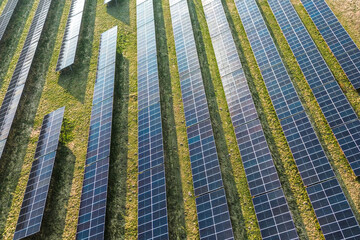 Solar farm harnessing sunlight for eco-friendly power