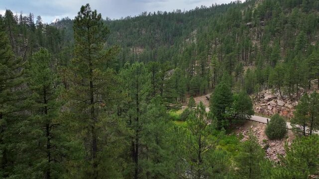Aerial view of forest service road 95 and bridge over East Clear Creek surrounded by lush green trees, East Clear Creek, Arizona, United States.