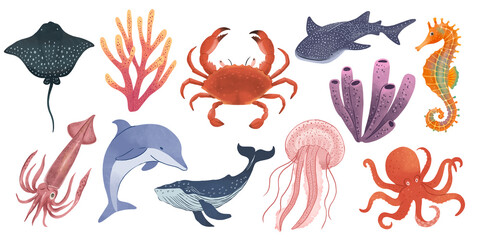 Obraz premium Underwater animals illustration on white background