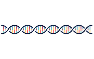 Horizontal colorful DNA helix icon representing genetics, biology, science, research, healthcare, medicine, and biotechnology innovation.