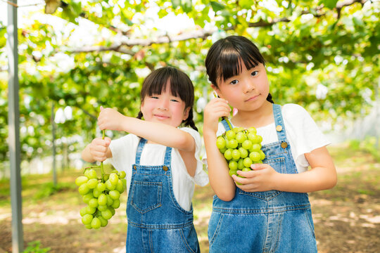シャインマスカットを手に笑顔を見せる女の子