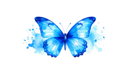 Fototapeta premium A bright blue butterfly with black and white wings, isolated on a plain white background