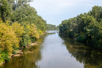 Fototapeta premium Calm River with Green Forest Reflections