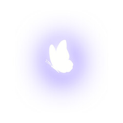 Ethereal White Butterfly on Light.