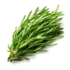 Fototapeta premium Fresh Rosemary Herb Bundle with Realistic Texture Isolated on White Background