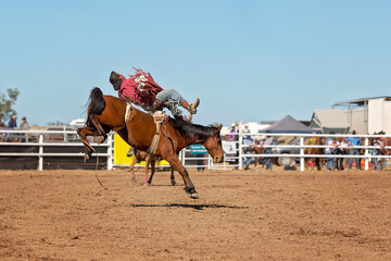 Bareback Bucking Bronc Riding At Country Rodeo