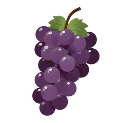 Vector Illustration of a Bunch of Purple Grapes Icon