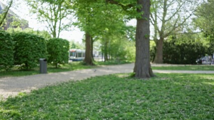 Blurred green park scene features defocused trees, path, and vibrant flowers with a bokeh effect in a serene outdoor environment.