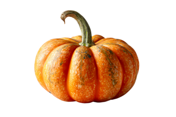 Bright orange pumpkin with ribbed texture and stem