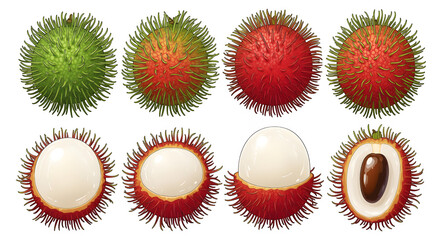 Set of rambutan fruit cartoon design.