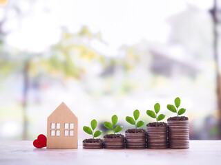 Miniature house and plants growing up on stack of coins. The concept of saving money for house,...