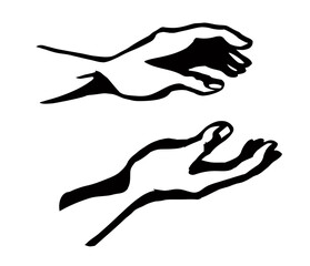 Young human hands. Vector drawing