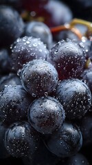 Close-up of a Grape Bunch with Water Droplets