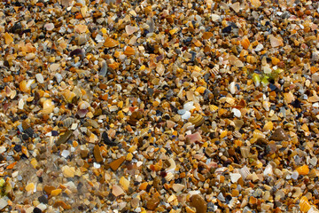 seashore, sea surf, waves on the shore, sandy beach, sandy beach