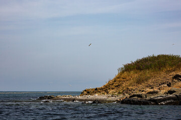 View of the coast of an island from the sea