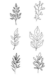 Botanical Line Art Set of Hand-Drawn Floral Elements Vector. Simple Black and White Leaf and Plant Illustrations for Organic, Nature-Inspired Designs.