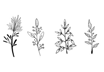 Botanical Line Art Set of Hand-Drawn Floral Elements Vector. Simple Black and White Leaf and Plant Illustrations for Organic, Nature-Inspired Designs.