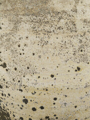 Weathered Surface: An aged, textural surface, displaying a pattern of erosion and subtle discoloration, hinting at the passage of time and natural forces.