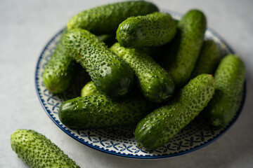 Freshly harvested cucumbers arranged on a decorative plate in a kitchen setting during daylight