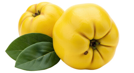 Isolated Quince Fruits