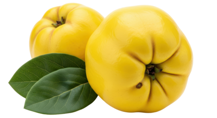 Isolated Quince Fruits