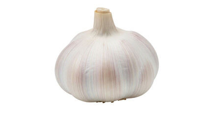 Isolated Garlic