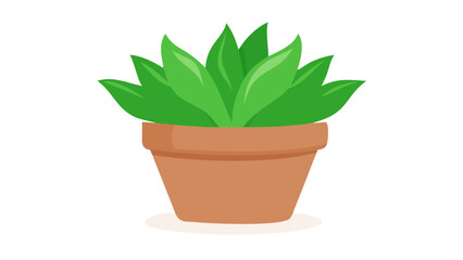 Fototapeta premium A vibrant green succulent plant in a classic terracotta pot presented as a clean illustration isolated on transparent background isolated on white background