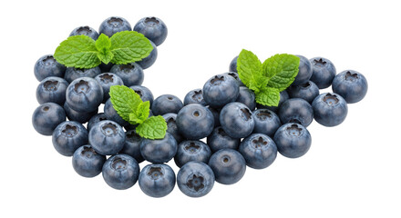 Isolated Blueberries with Mint