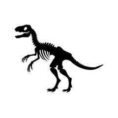 Fototapeta premium Raptor Dinosaur Skeleton Silhouette Vector