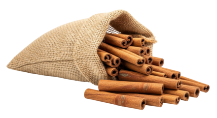 Isolated Bag with Cinnamon Sticks