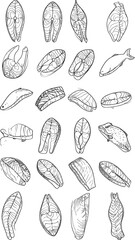Fish Fillet Line Drawings, Various Angles