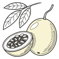 Passion fruit illustration featuring a sliced fruit with seeds and leaves on a branch in monochrome line art style