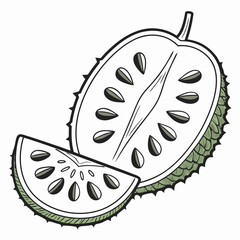 Soursop fruit illustration featuring a halved soursop and a soursop slice with seeds, showcasing its unique spiky texture and tropical appeal